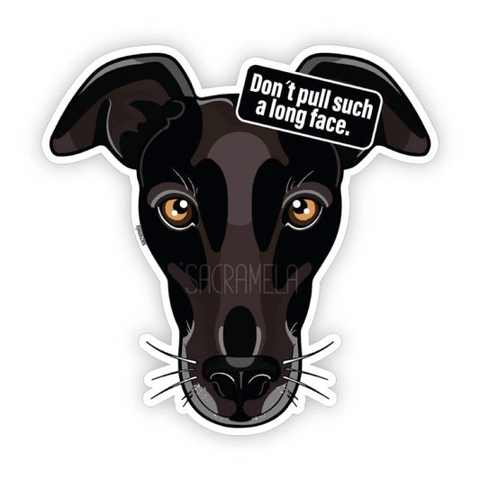 GALGO ESPANOL BLACK